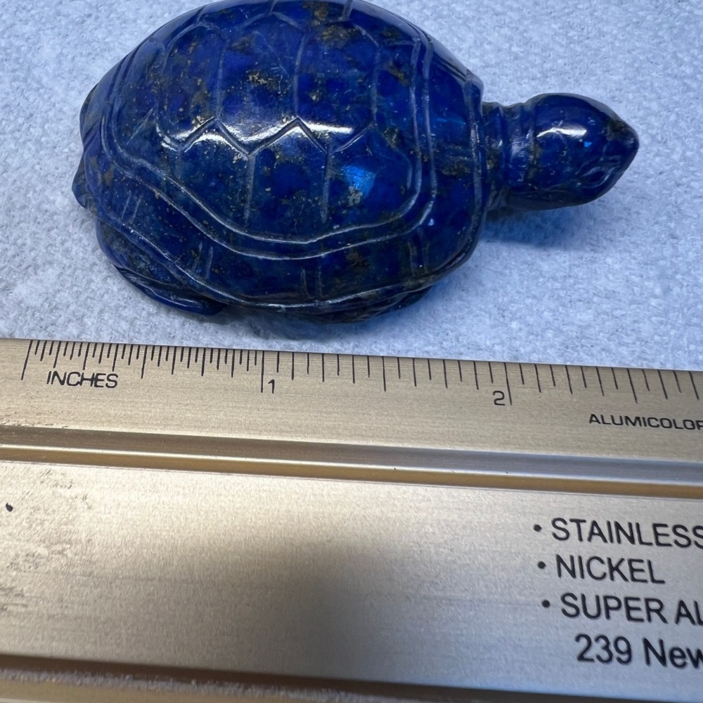 Blue lapis turtle - Picture 2 of 6